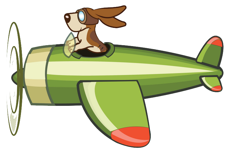avion+chien